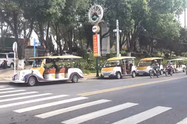 Lâm Đồng: Không chấp thuận đề xuất đưa xe điện chở du khách nội thành Đà Lạt