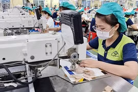 Lực lượng lao động quý I/2023 tăng nhưng đang có dấu hiệu chậm lại