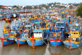 Chuyển đổi xanh và phát triển thủy sản xanh để phát triển bền vững