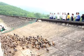 Như Thanh (Thanh Hóa): Đổi mới tư duy và khơi dậy ý chí vươn lên phát triển kinh tế của đồng bào