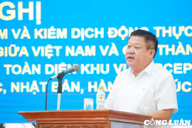 Phó Giám đốc sở Nông Nghiệp Hà Nội nói sản phẩm nông nghiệp ở Thủ đô cơ bản an toàn 100%