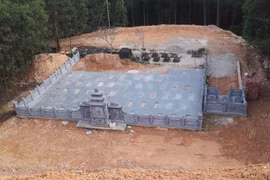 Nghệ An: Cần xử lý dứt điểm vụ tranh chấp đất lâm nghiệp kéo dài