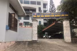 Liên tiếp phát hiện hàng thực phẩm nước ngoài vô chủ tập kết ven đường bốc mùi hôi thối