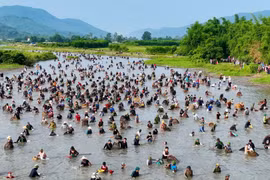 Hàng nghìn người chen chân tham gia lễ hội đánh cá Vực Rào