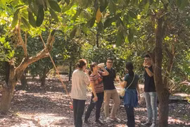 Du lịch Củ Chi, thưởng thức “Hoa thơm trái ngọt vùng Đất thép”
