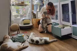 Giới trẻ chi hàng triệu đồng mỗi tháng chăm sóc thú cưng