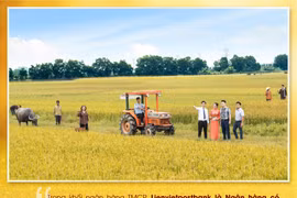 Lienvietpostbank: 15 năm chinh phục khách hàng