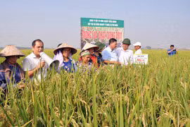 Đến năm 2030, có trên 5.000 hợp tác xã ứng dụng công nghệ cao vào sản xuất nông nghiệp