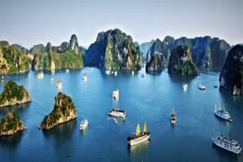Quảng Ninh miễn vé tham quan vịnh Hạ Long cho người khuyết tật