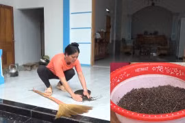 Thạch Thành (Thanh Hoá): Người dân khổ sở, hoang mang vì bị ruồi "bủa vây"