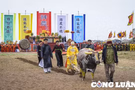 Đầu năm, tái hiện nghi lễ vua xuống ruộng đi cày tại Lễ hội Tịch điền Đọi Sơn