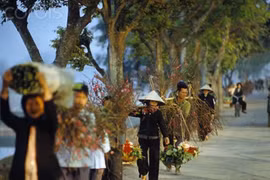 Tết hòa bình đầu tiên