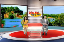 Đài truyền hình các địa phương tích cực đổi mới, nâng cao tính chuyên nghiệp, hiện đại