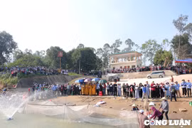 10 tấn cá được phóng sinh xuống sông Lam