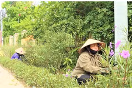 Nghĩa cử đẹp "xây" đường hoa làm đẹp xóm làng