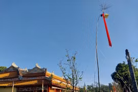 Nghi lễ dựng nêu đón Tết trong Hoàng cung Huế
