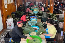 Dịch vụ cung cấp bánh chưng nhộn nhịp sản xuất dịp cận Tết