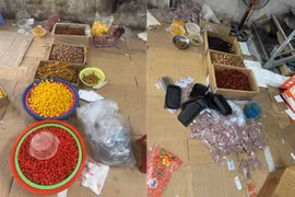 Phát hiện, xử lý cơ sở sản xuất hoa quả khô, bánh kẹo Tết "lậu"