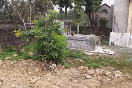 Thực hư thông tin phần mộ nhà thơ Nguyễn Bính bị xâm phạm