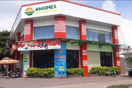 Không có tiền trả nợ lãi trái phiếu, Angimex (AGM) bán và giải thể công ty con