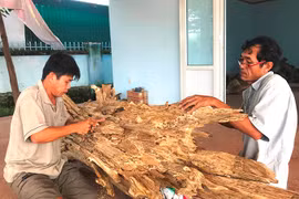 Khánh Hòa từng bước xây dựng điểm du lịch làng nghề