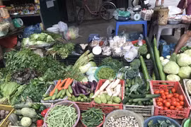 Thực phẩm tại chợ truyền thống tăng giá nhẹ, siêu thị ổn định giá cả dịp nghỉ lễ 30/4 - 1/5