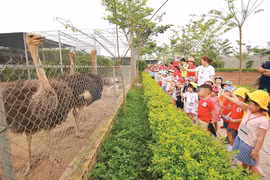 Hà Nội có 2 điểm dịch vụ du lịch đầu tiên được công nhận sản phẩm OCOP