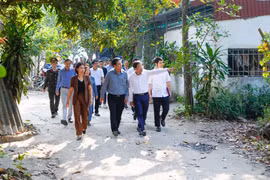 Hải Phòng: Truy trách nhiệm cán bộ quản lý đất đai tại Đồ Sơn