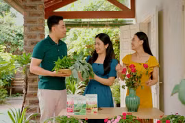 Giải pháp dinh dưỡng cho cây trồng tại gia đình