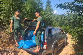 Quảng Ninh: Thu giữ 1.350 kg nội tạng động vật không rõ nguồn gốc