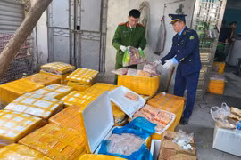 Hà Nội: Hơn 1 tấn thực phẩm, chân gà rút xương, lòng lợn bẩn bị thu giữ
