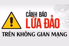 Gia Lai: Kiếm tiền qua mạng, hai cá nhân bị lừa đảo chiếm đoạt hơn 1 tỷ đồng
