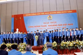 Ông Lê Thanh Xuân tái đắc cử Chủ tịch Công đoàn Than Khoáng sản Việt Nam nhiệm kỳ 2023 -2028