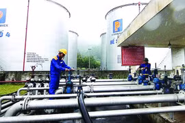 Phó Thủ tướng yêu cầu Bộ Tài chính rút kinh nghiệm việc chậm góp ý dự trữ xăng dầu