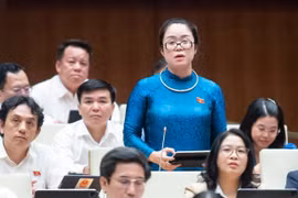 Nhiều tài sản công đang bị bỏ không, gây lãng phí