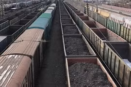 Bộ trưởng Kinh tế tự tin Đức có thể “cai nghiện” than vào năm 2030