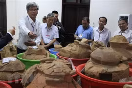 Lập hồ sơ di tích khảo cổ văn hóa Sa Huỳnh là Di sản thế giới