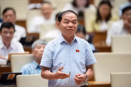Đại biểu Quốc hội Lê Thanh Vân: Cán bộ “không hành động, không làm gì cả” cũng là vi phạm pháp luật