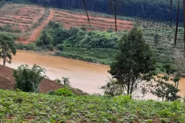 Gia Lai: Tá hỏa phát hiện thi thể nam thanh niên dưới suối