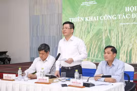 Giá thóc gạo trong nước tăng nhanh từng ngày, bình quân tăng 100 đồng/kg/ngày