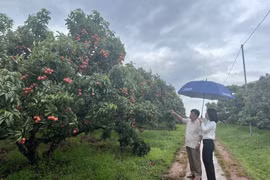 Bắc Giang tập trung phát triển du lịch nông thôn