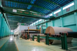 Lợi nhuận sụt giảm 21%, Đông Hải Bến Tre (DHC) bị xử phạt vi phạm về thuế