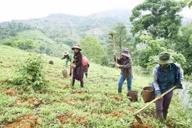 Giải quyết đất ở, đất sản xuất cho vùng đồng bào dân tộc thiểu số và miền núi trong sửa đổi Luật Đất đai