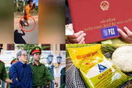 Nóng 18h: Kỷ luật cán bộ CSGT ở Bình Dương cầm viên gạch, dọa đánh người