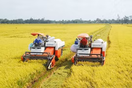 Xây dựng Trung tâm sáng tạo về hệ thống lương thực, thực phẩm khu vực tại Việt Nam