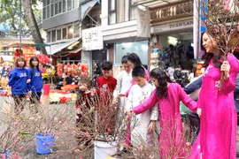 Chợ hoa Hàng Lược nhộn nhịp những ngày cận Tết