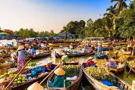 Cần Thơ sẵn sàng cho Ngày hội du lịch sinh thái Phong Điền 2023