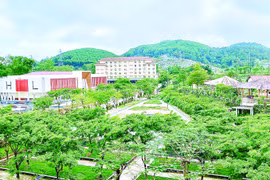 Trên 90% sinh viên Trường Đại học Luật, Đại học Huế có việc làm trong vòng 6 tháng sau khi tốt nghiệp