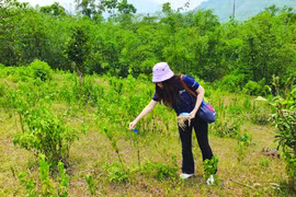 Ba chân kiềng phát triển bền vững của TNG Holdings Vietnam
