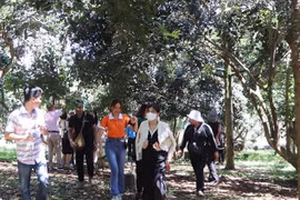 Đồng Nai tổ chức tour khảo sát kết hợp tọa đàm phát triển du lịch năm 2023